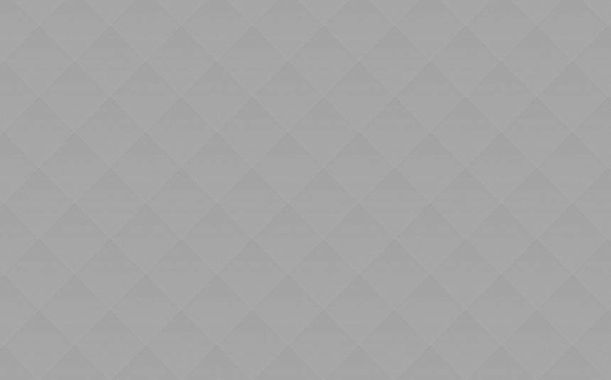 grey_06 School Buses