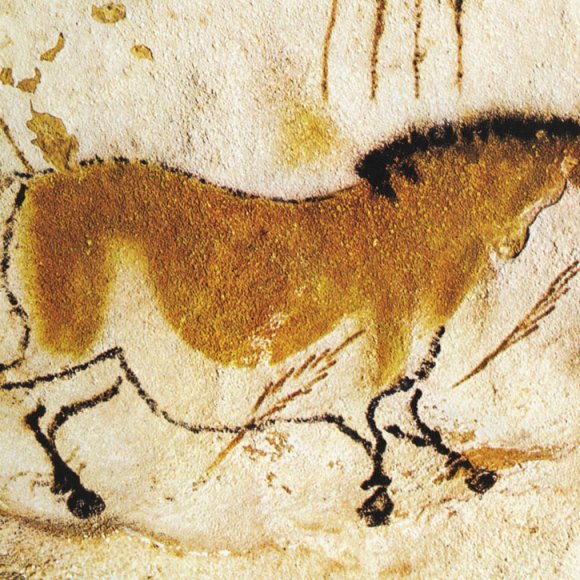 La préhistoire : culture et histoire